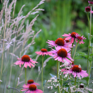 Meet your Posher, Prathna